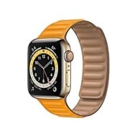 Apple Watch Series 6